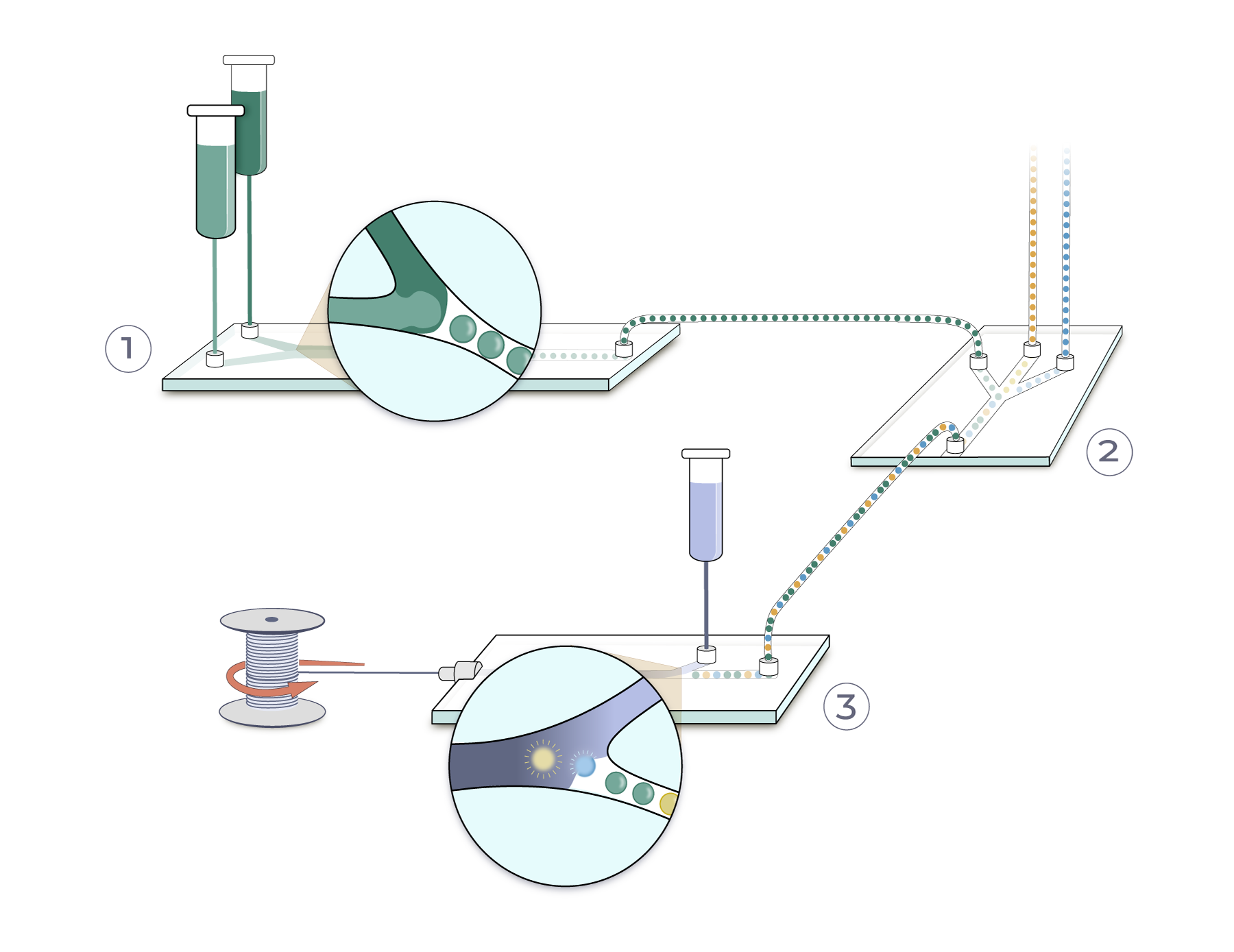 Illustration of the platform: an encapsulation chip, a sorting chip, and a spinning chip winding fiber onto a spool