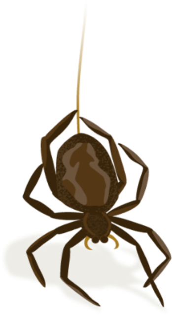 Illustration of a spider hanging from a silk thread